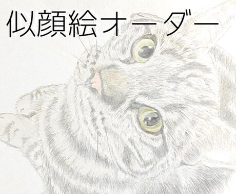 ペット肖像画を描きます ペットが愛しくてたまらない方へ。最低価格で最高の思い出を♩ イメージ1