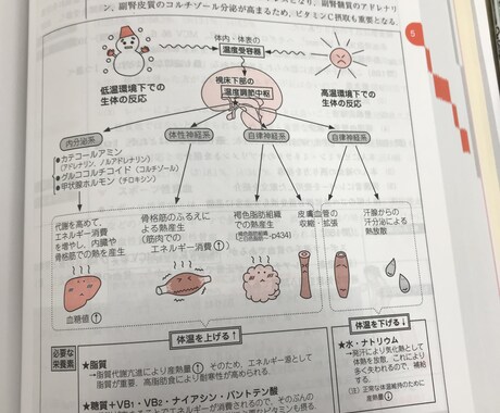 管理栄養士国家資格の受かる勉強方法教えます 100%合格を出した勉強法やれば受かる！ イメージ2