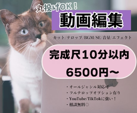 動画編集いたします あなたの動画をもっと面白く！可愛く！かっこよく！ イメージ1