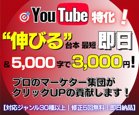 Youtube売れる台本最短即日プロが作ります マーケターが”バズる構成”を完全サポート！修正５回無料！ イメージ1