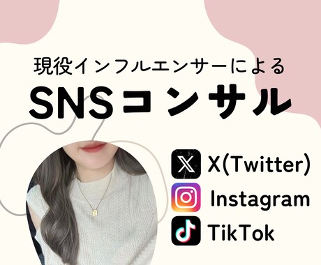 現役インフルエンサーがSNSコンサルします フォロワー増やしたい人・インフルエンサーになりたい人必見 イメージ1