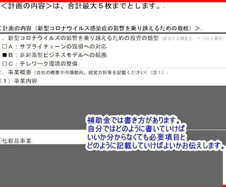 持続化補助金コロナ特別対応型の作成方法お伝えします 化粧品、物販事業について法人・個人ともに採択（合格）実績あり イメージ1