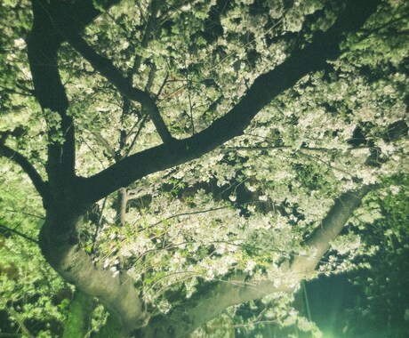 秘密厳守で苦しい、不安で悩んでいる方に寄り添います 社会人野球選手がポジティブ前向きに全力で向き合います。 イメージ1