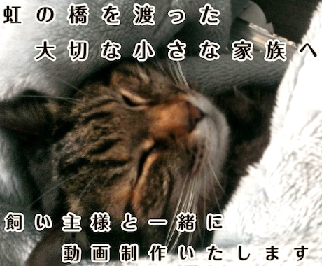 虹の橋を渡ったペット "想い出動画" つくります 「ありがとう。」　心に寄り添うナレーション。 イメージ2