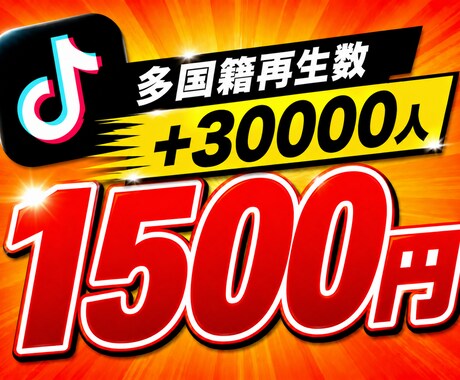 TikTok再生回数+3,0000増やします ⭐️様々なSNSと要望に対応しております⭐️ イメージ1