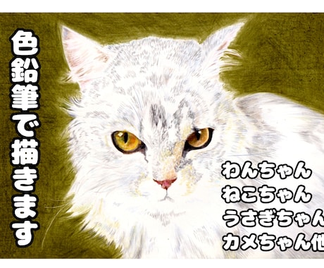 大切なペットを色鉛筆で描きます 家族を、絵として飾ってみませんか？ イメージ1