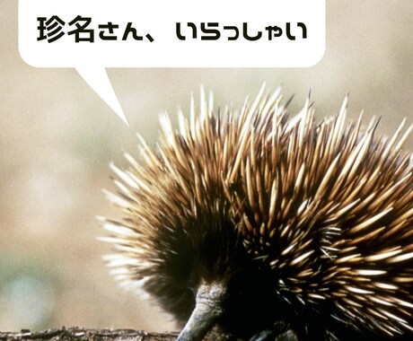 珍名がコンプレックスなあなたのお話聞きます 自分ではどうしようもないから、困っちゃうんですよね、名前… イメージ1