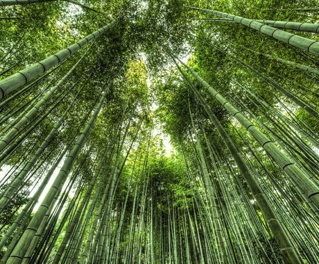 日本の神様達からのメッセージをお伝え致します 日本の神様カード・ワンオラクル、お悩み解消への道しるべ*.゜ イメージ2