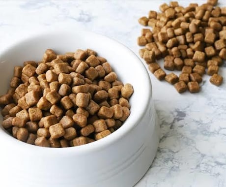 愛犬の【フード】をご提案させていただきます 体質やライフスタイルに合わせたフード選び イメージ1