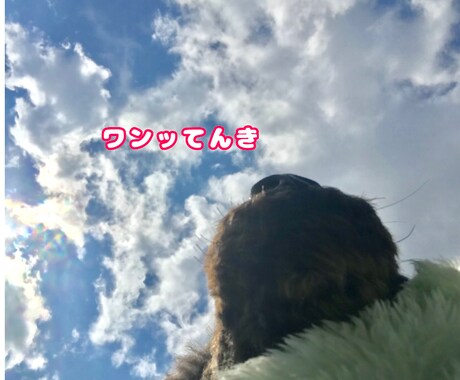 商品のネーミング、ペットの名前、アイデア考えます 笑い、楽しい、素敵！色んな独特のアイデア考えます！ イメージ2