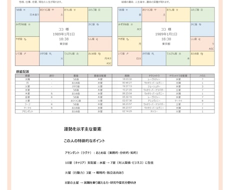 仕事運【インド占星術】鑑定書をお送りします －何度も見返せる鑑定書ドキュメントPDFをデータでお届け イメージ2