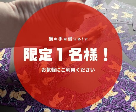 限定１名様・職場での未来を切り開きます オッドアイのスフィンクス猫によるタロット占い イメージ1