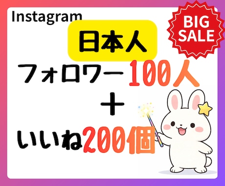 インスタのフォロワー100いいね200サポートます 【先着５名様】ココナラ出店大SALE今だけの破格値！ イメージ1