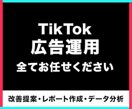 初期費用無し！TikTok広告運用を代行いたします 運用歴10年の代理店がTikTok広告を運用 イメージ1