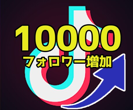TikTokフォロワー10000人増加させます コスパ◎！安く高品質なフォロワーをあなたにご提供 イメージ1