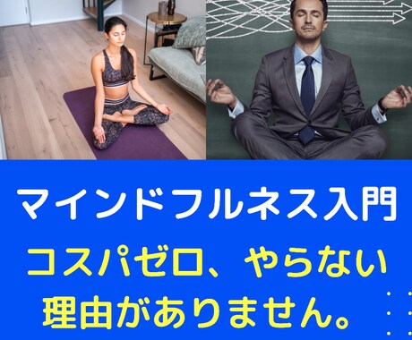 メンタルトレーナーが瞑想プログラム作成します 5日間であなたに合ったマインドフルネスと習慣法を授けます。 イメージ1