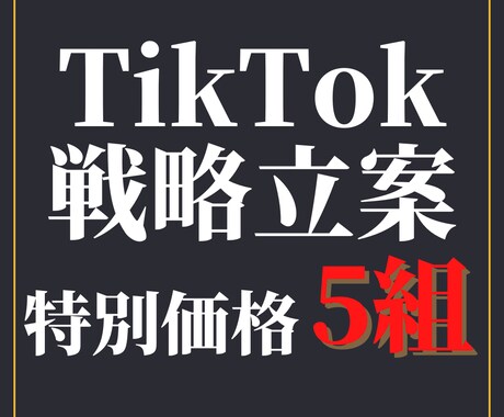 法人TikTokの【戦略立案】をいたします 5万フォロワー・350万再生/投稿の実績あり イメージ1