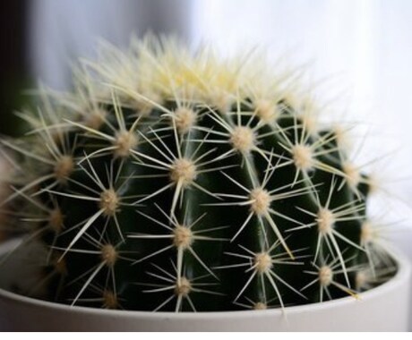 不倫をやめたい方、お話伺います 不倫の泥沼から逃れられない女性を救うためのサービスです イメージ1