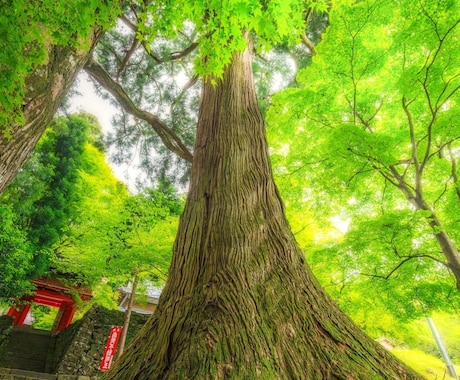 秘密厳守　おもいっきり自由なお話し時間待ってます 今日も一日お疲れ様でした。話して下さい。聞かせて下さい。 イメージ1