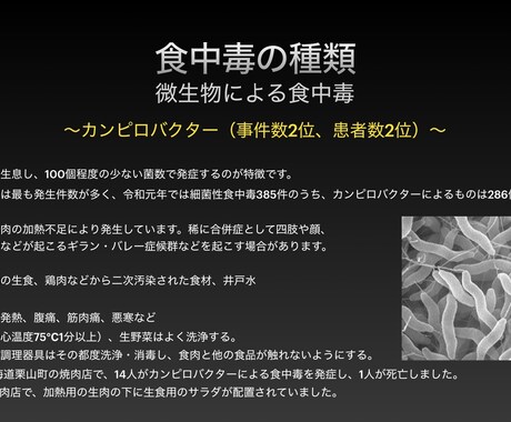 食中毒についての研修資料をご提供します 食中毒菌の種類、対策についてまとめるのは面倒ですよね イメージ2