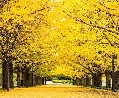 心に寄り添う手相鑑定を24時間以内で行います 手のひらに小さな希望を 。1万字でたっぷり解説いたします。 イメージ2