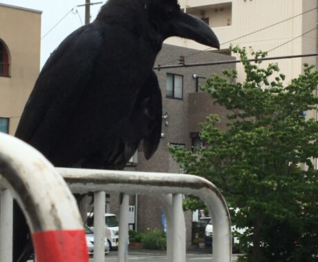 脇見恐怖症、相談乗ります 数年前まで脇見恐怖症でしたが克服することができました イメージ2