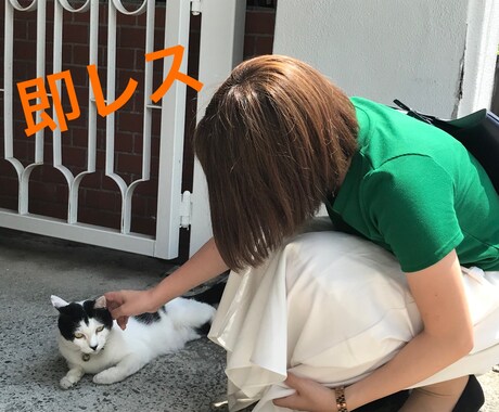 即レス✩.*˚LINE感覚で1時間チャットします 即レスです！1時間愚痴や相談などなど…などなど何でもどうぞ♡ イメージ1
