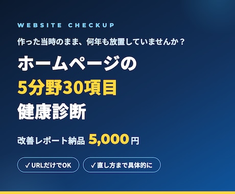 ホームページの改善点をプロ目線で診断します ホームページの健康診断。直すべき所を優先順位つきで イメージ1