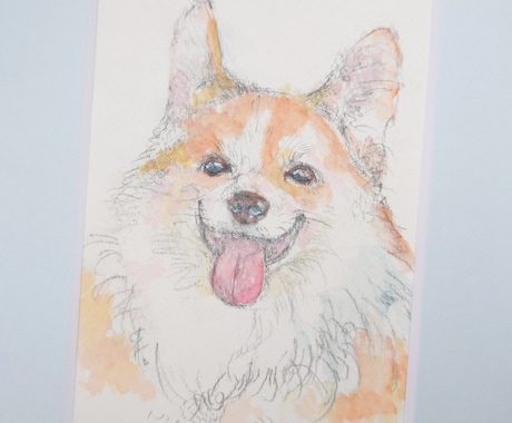 ペット似顔絵＊挿絵のようにふんわり描きます あなたのこころの陽だまりのような、そんな想いを大切に イメージ2