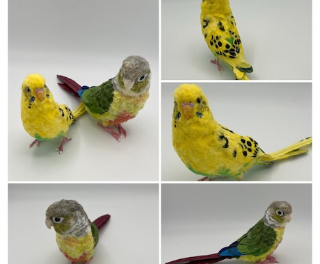 リアルで可愛いペットのインコ人形を作成します 大事なペットちゃんを和紙で可愛く作ります！ イメージ2