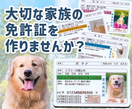 ペット免許証を最短3日で制作します 自社印刷だから安心＆スピード納品可能！ イメージ1
