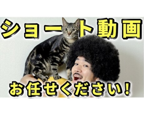 理想の動画を制作します ・TikTok・YouTube・インスタお任せください！ イメージ1
