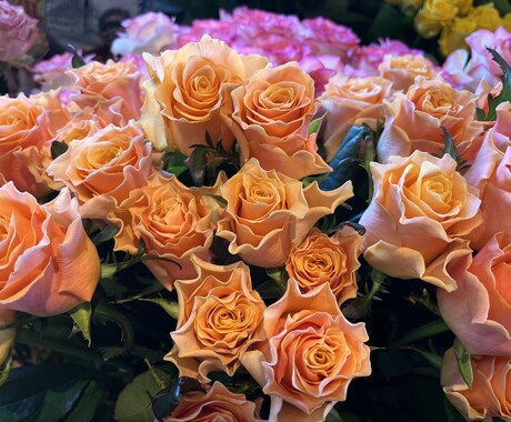 心に癒しを♪部屋に合う季節のお花をお届けいたします 1人1人のお客様と相談しながらお花を選びます♪ イメージ2
