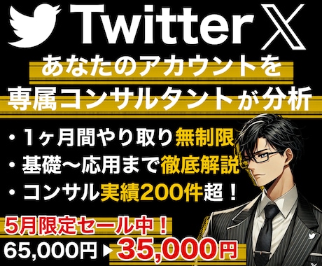 X,Twitterをプロが１ヶ月徹底コンサルします あなたのアカウントに必要な運用戦略やXの解説など／質疑応答◎ イメージ1