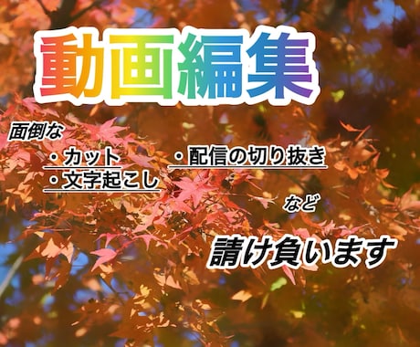 面倒な文字起こしやカット編集を行います 面倒な作業をお客様の代わりに！ イメージ1