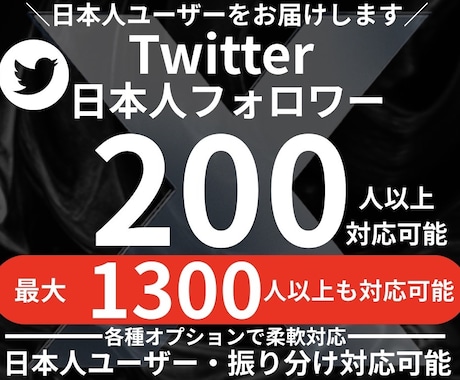 Twitter日本人フォロワー200人増やします 高品質な日本人のフォロワーによる認知拡大をサポートします イメージ1
