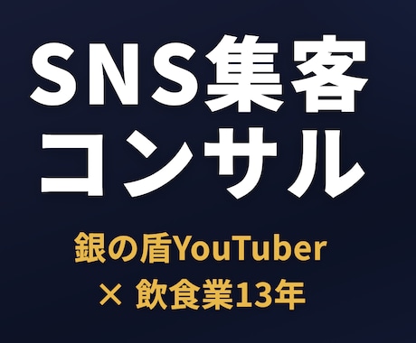 企業様向けにSNS集客の戦略を一緒に作ります 銀盾YouTuber×飲食13年のプロが集客戦略を設計します イメージ1