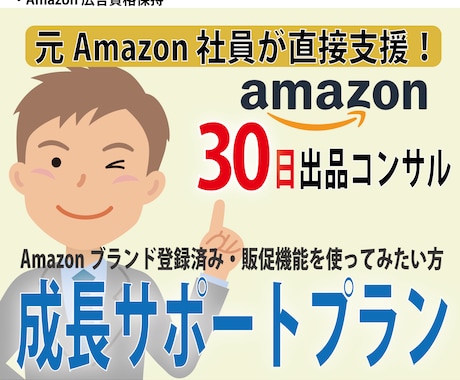 成長サポートプラン・Amazon出品コンサルします Amazonブランド登録済みの方・販促機能を使ってみたい方 イメージ1