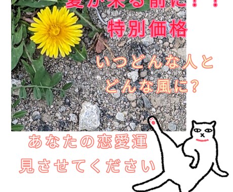 特別価格！恋愛運、タロットカードに聞いてみます 夏が来る前に！恋をしたい！いつになったらどんな恋人ができる？ イメージ1