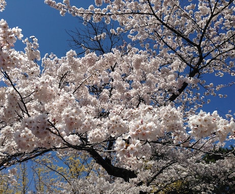 あなたのお悩みのお力になります お悩みを抱えて、聞いてほしい、少しでもスッキリしたい方へ イメージ1