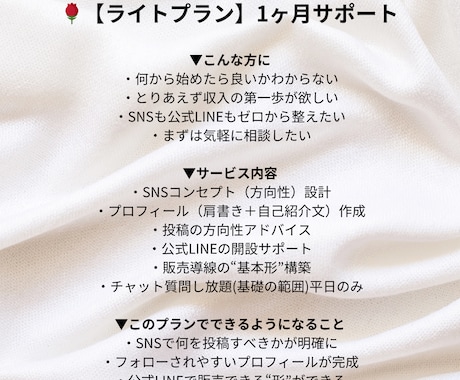 家で働きたいママ！SNSで収入づくりサポートします 在宅で働きたいママのためのSNS発信マンツーマンサポート イメージ2