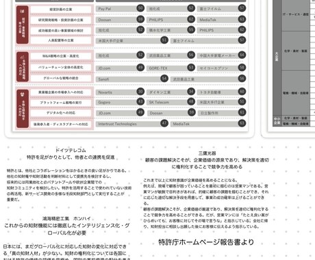 初学者向特許制度概論を実務経験を活かして解説します 知財×経営戦略 将来事業構想•新事業創出•特許法導入ガイド イメージ2