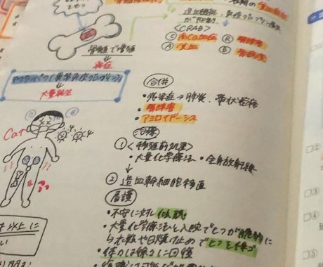 看護国試、勉強法についてサポートします 一緒に習慣化！看護国試合格を目指そう イメージ2