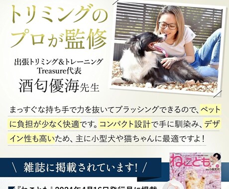 犬のプロがペットビジネスの成功をサポートします 監修、イメージ写真の撮影、PR、新規サービスの相談など イメージ1