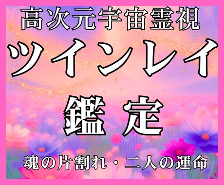 一向に動かない現実・サイレントの苦しみを打破します 高次元宇宙霊視で視る魂の設計図と魂の試練の根本原因と未来軌道 イメージ1