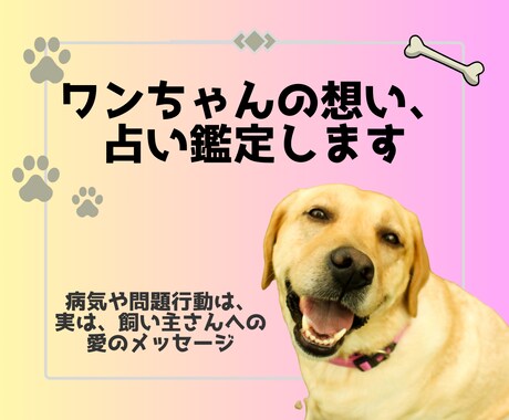 ペット占いで愛犬のこと・気持ちが解かり			ます 愛犬があなたの家族になった理由、運命のストーリーが分る✨ イメージ1