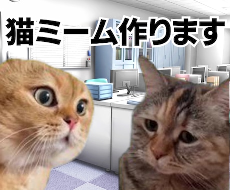 猫ミーム動画お作りします 今流行りの猫ミーム動画を製作代行します！ イメージ1