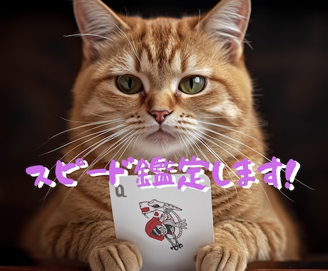 今すぐ！結論重視‼️どんな質問にも答えます プロ鑑定歴10年以上】恋愛・仕事何でもOK❤️スピード鑑定！ イメージ1