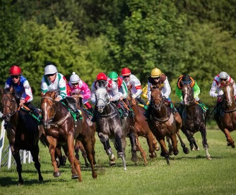 毎週競馬の穴馬など有力な情報を流します レースごとに来る確率が高い馬を提供させてもらいます イメージ2