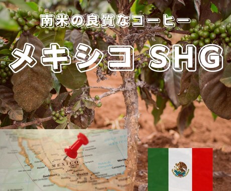 Amazonカタログ作成+広告+SEO行います カタログ作成から販促サポートまで致します。 イメージ2